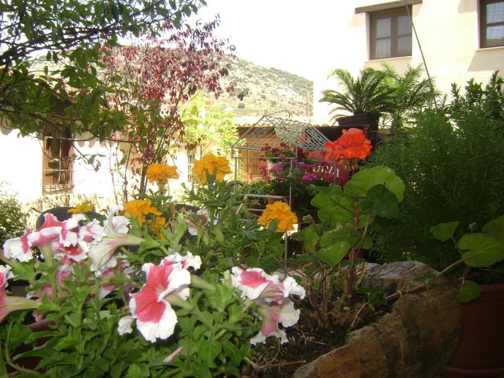 Apartamentos Rurales La Muralla II Canete  외부 사진